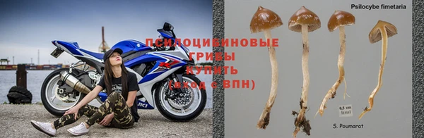 МДПВ Абдулино