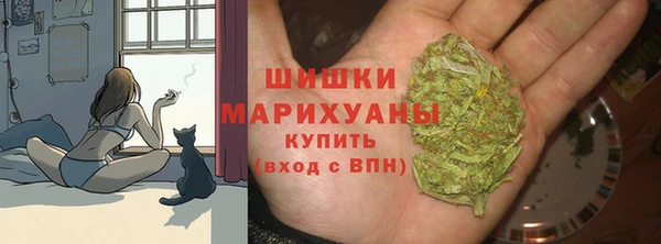 гидра Абаза